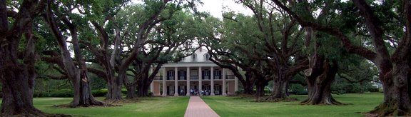 White house in a garden