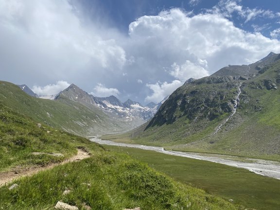 view